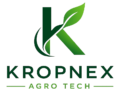 cropped cropped cropped kropnex logo 2.png