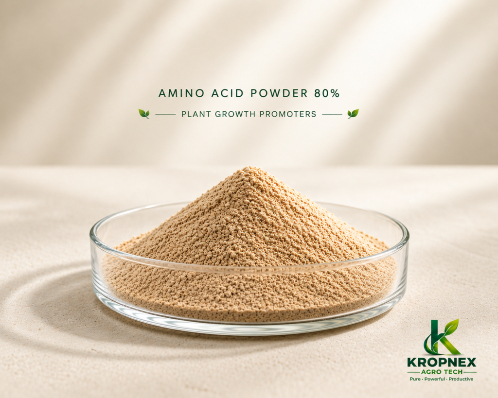 Amino Acid Powder 80 V2 1024x819