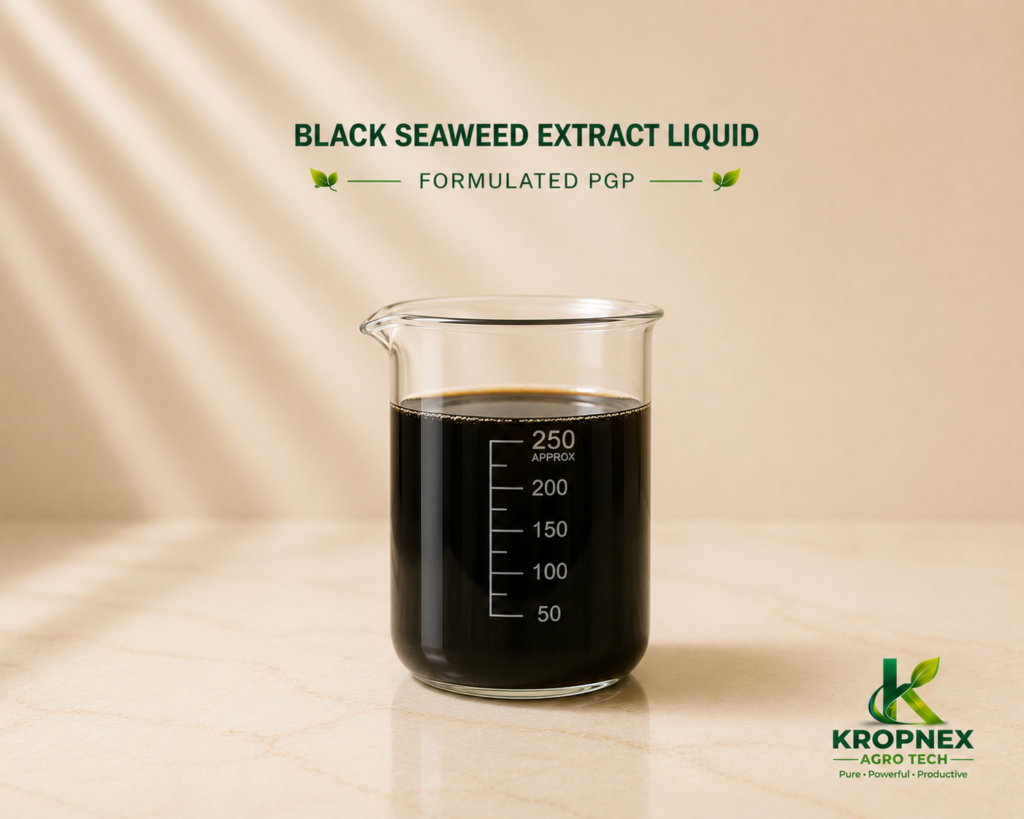 Black Seaweed Liquid
