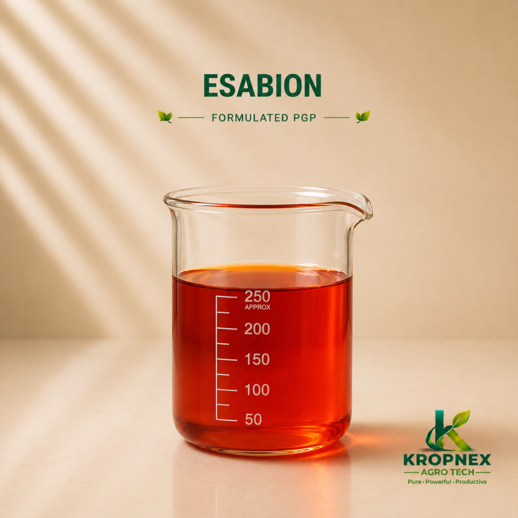 Esabion 1024x1024