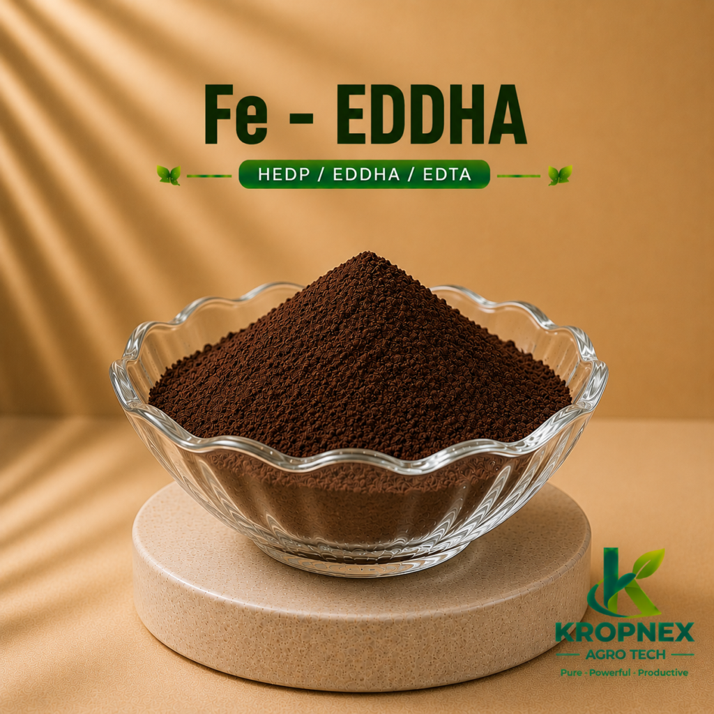 fe eddha