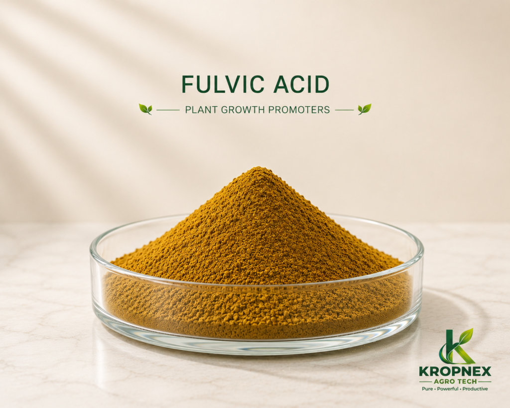 Fulvic Acid V2 1024x819