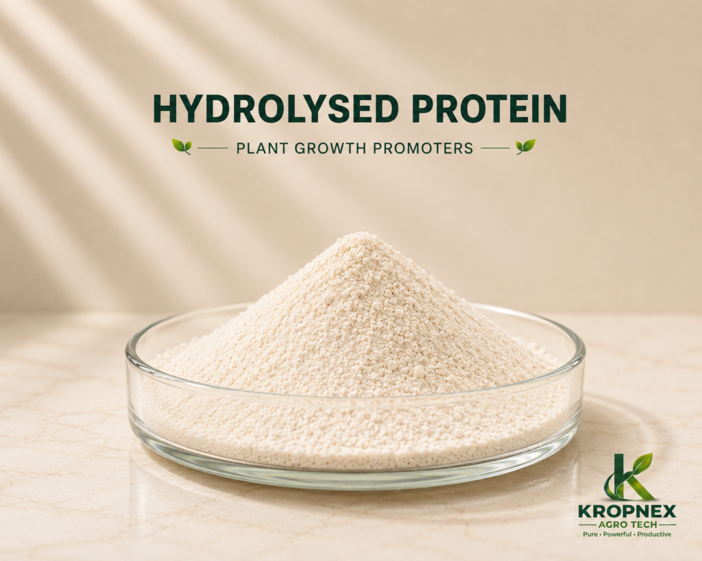 Hydrolysed Protein V2 1024x819