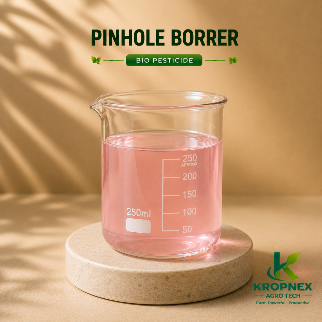 pinhole borrer