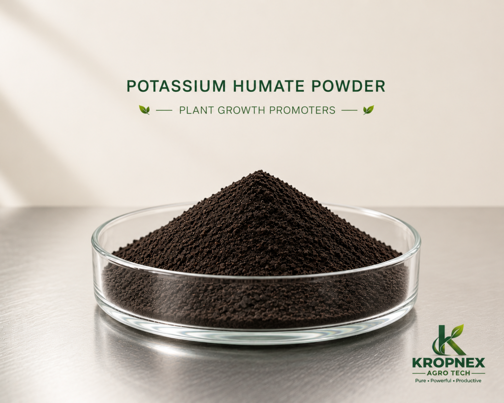 Potassium Humate Powder V2 1024x819