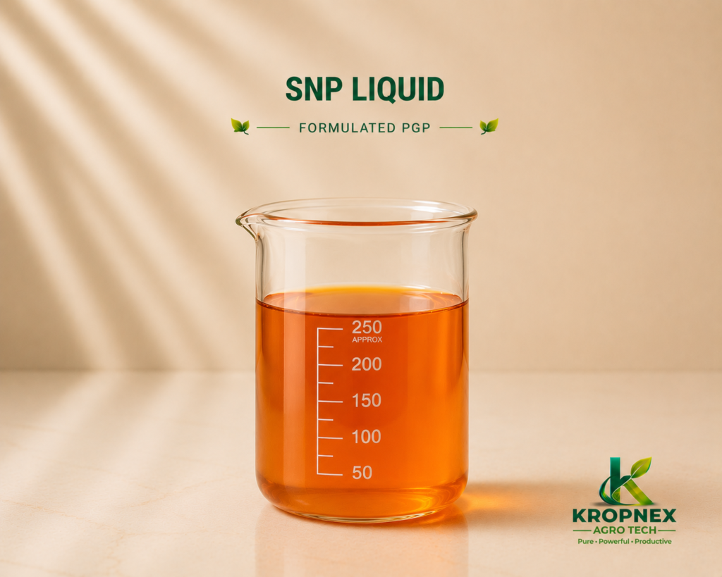 SNP Liquid 1024x819