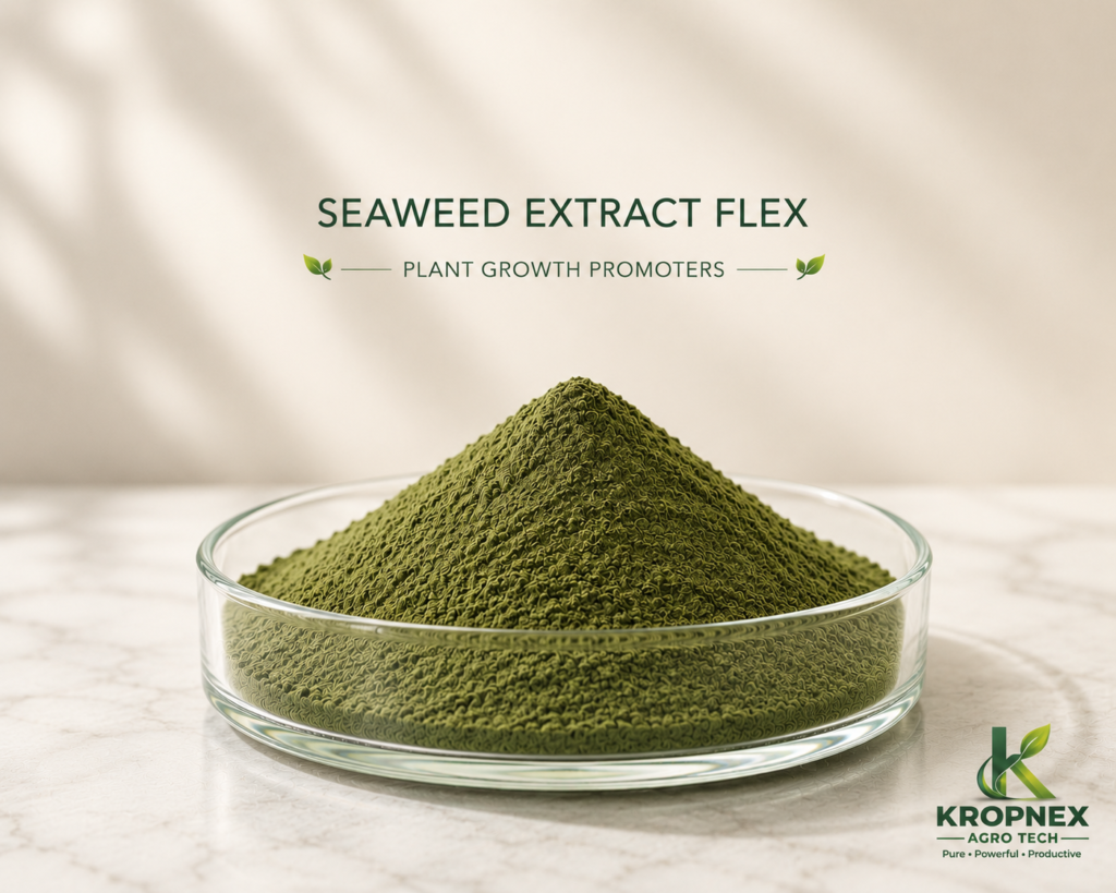 Seaweed Extract Flex V2 1024x819