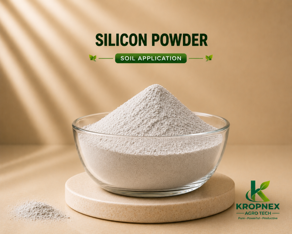 silicon powder