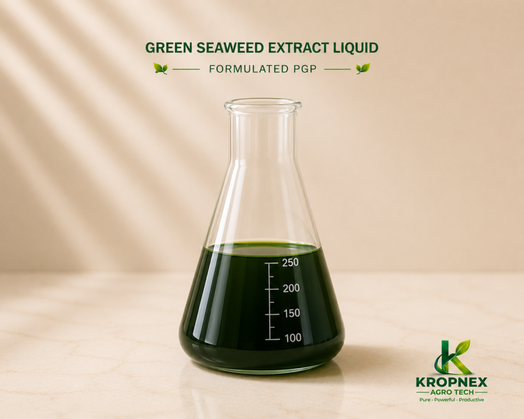 Green Seaweed Liquid V1 1024x819