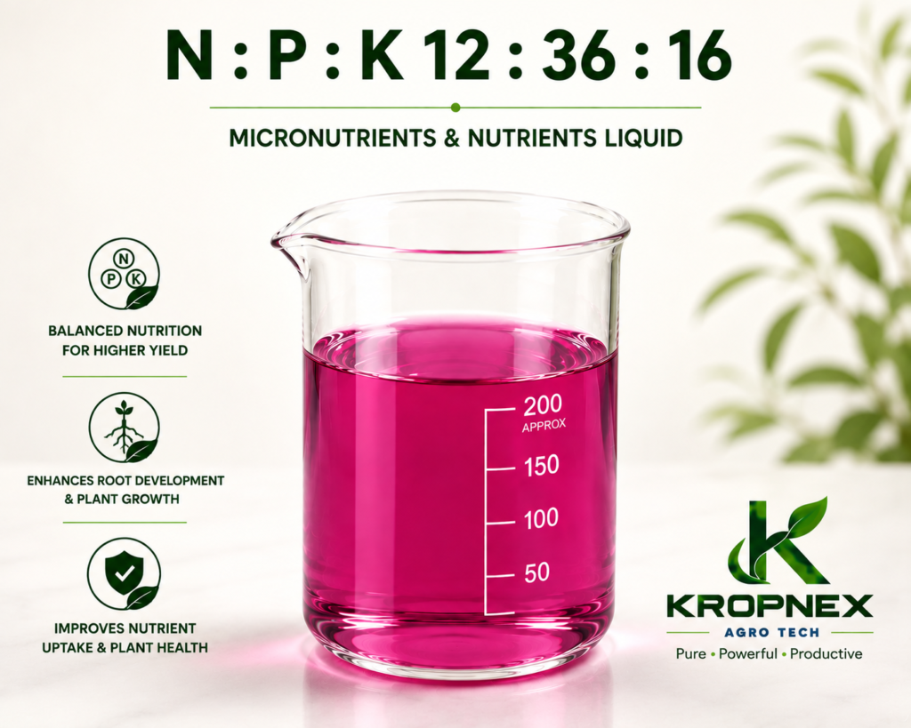 npk 12 36 16