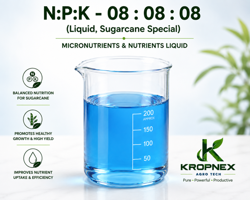 npk 8 8 8 sugarcane
